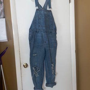 wild fable overalls